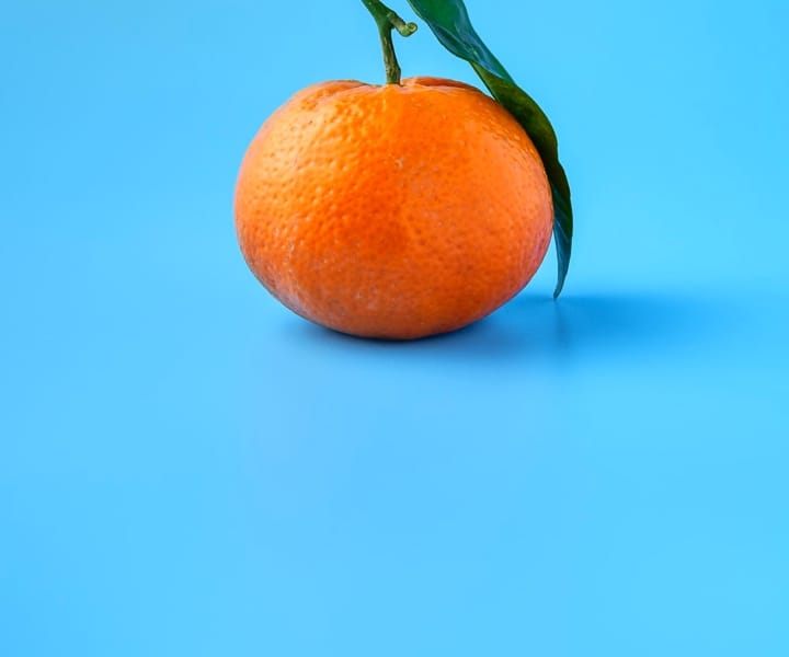 Orange photo